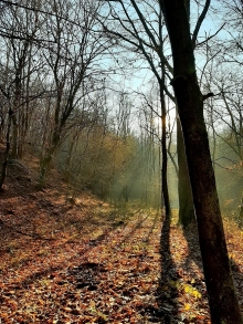 Make today beautiful - RESENTERA.COM