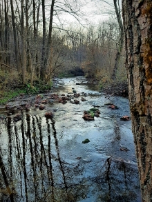 Every day is a second chance - RESENTERA.COM