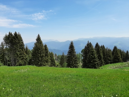 Follow your dreams... - RESENTERA.COM